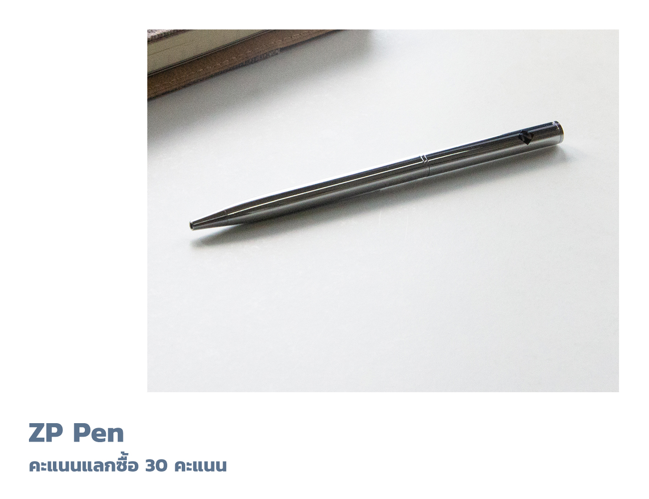 ZP Pen